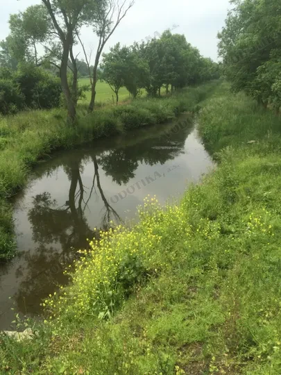 Mrlina, Vestec, Rožďalovice, zvýšenie ochrany obcí výstavbou poldrov – Polder Mlýnec – Obr. 3 - pred výstavbou (jún 2016)