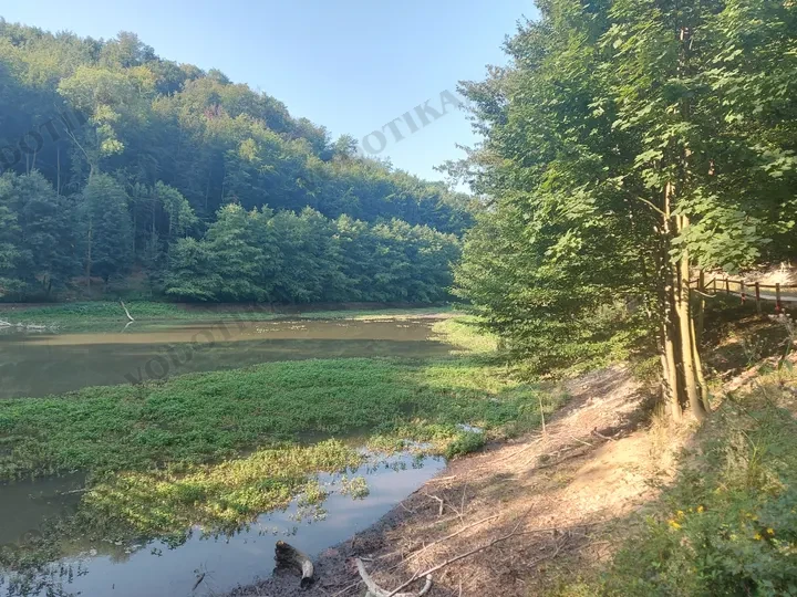 VN Parina – zachytenie priesaku – Obr. 2 - súčasný stav (august 2023)